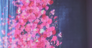 instagrammable spots in Pattaya _ PADO Media Art Space Pattaya